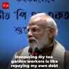 Article image for: PM Modi Recalls Tea-Selling Days While Honouring <i class="tbold">assam tea</i> Workers