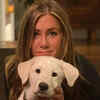 Article image for: Jennifer Anniston