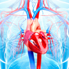 Why the 30s may be the most important decade for heart health