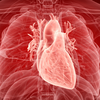 Can artery ageing be slowed or reversed?