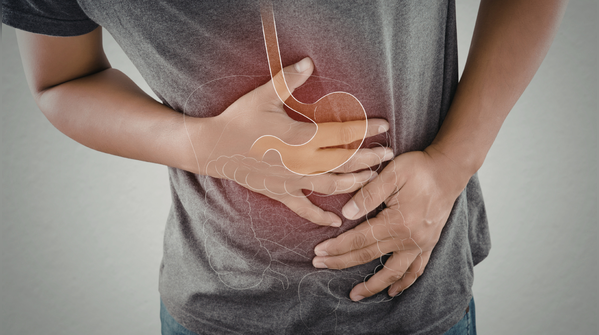 Why the stomach naturally stretches after a meal