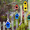 Birdhouse fence