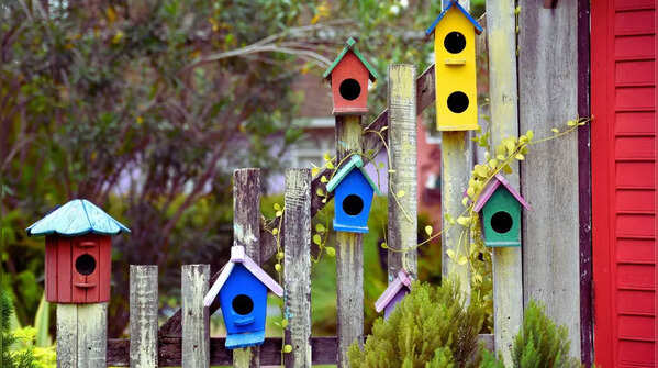 Birdhouse fence