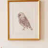 Bird-themed painting