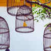Hanging birdcages