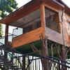Treehouse