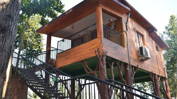 Treehouse