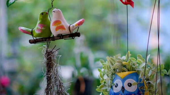Bird-themed designs for an aesthetic appeal