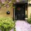 Create shade around the house