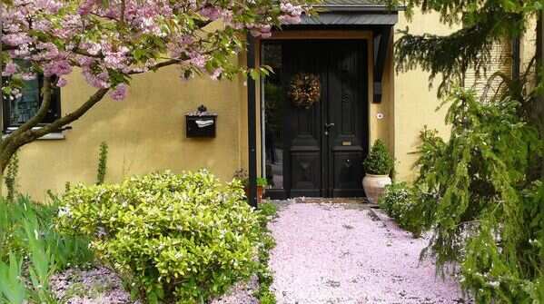 Create shade around the house