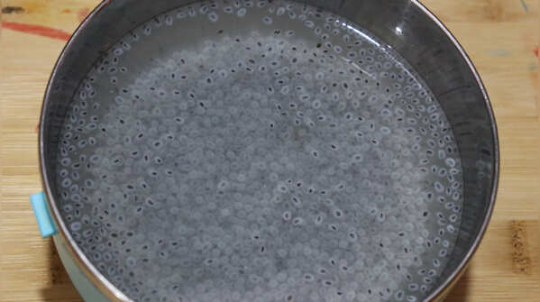 Basil Seeds