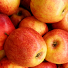 Article image for: <i class="tbold">Apple</i>s