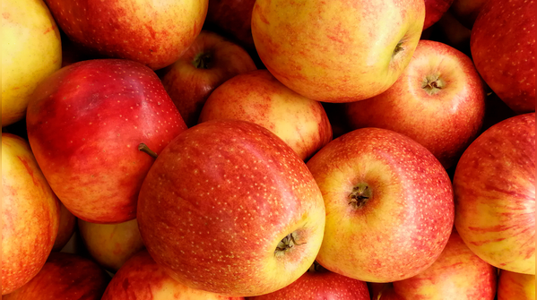 Apples