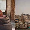 Gyan Vapi well's Hidden Idol