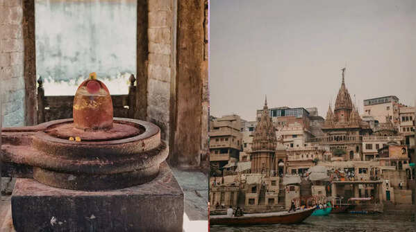 Gyan Vapi well's Hidden Idol