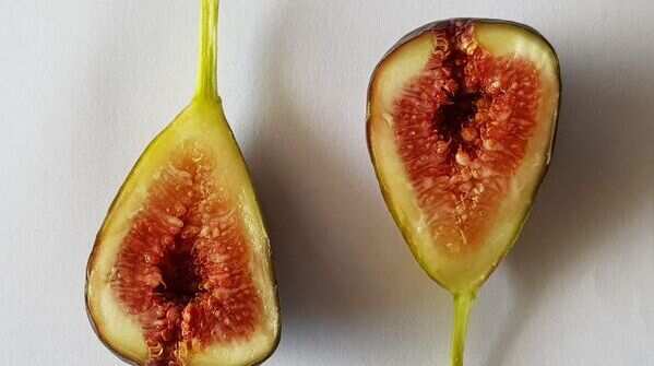 Look at the colour and appearance