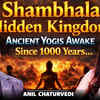 Article image for: Hidden Shambhala City | 1000-Year Yogis Still Meditating in Himalaya | Ft. Anil Chaturvedi