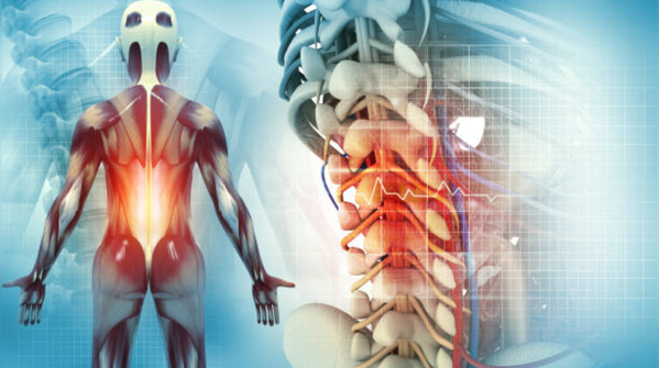 Cancer & bone screening