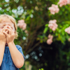 Insect bite allergy: