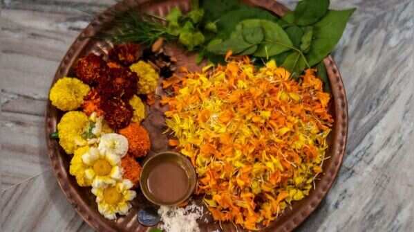 Day 9 – Purple, Maa Siddhidatri