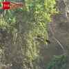 Article image for: Black Panther Hunts Langur in Bhadra Reserve