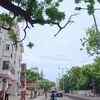 Article image for: <i class="tbold">mylapore</i>