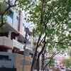 Article image for: Anna Nagar