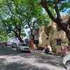 Article image for: <i class="tbold">adyar</i>