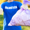 Article image for: Volunteer for a short-term cause