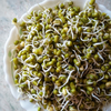 Sprouted moong salad