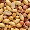 Peanuts