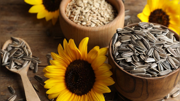 Sunflower seeds
