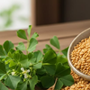 Fenugreek, aka methi seeds