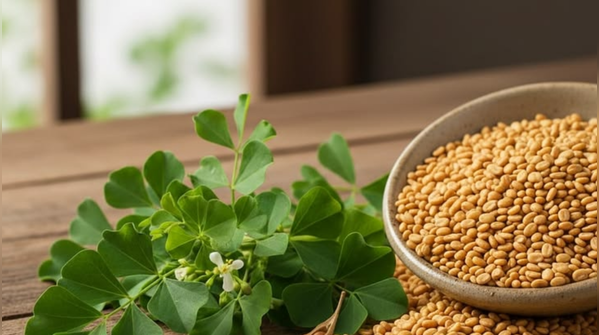 Fenugreek, aka methi seeds