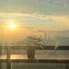 Article image for: Provide adequate sunlight