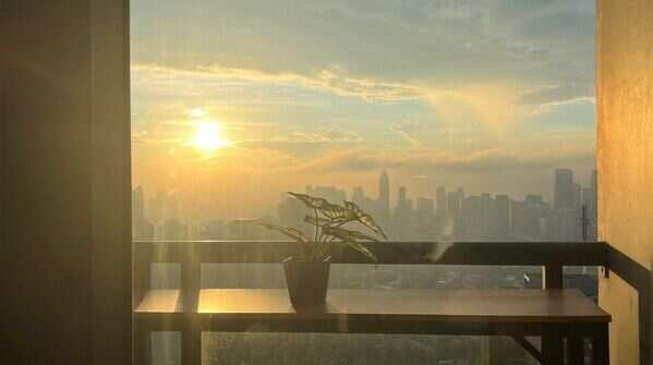 Provide adequate sunlight