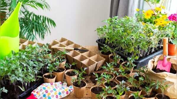 Choose the right container