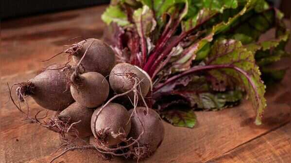 How to grow beetroot in containers on a balcony garden