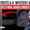 Article image for: Influencer Ayşegul Eraslan Found Dead; CCTV Shows Visitor Before Death