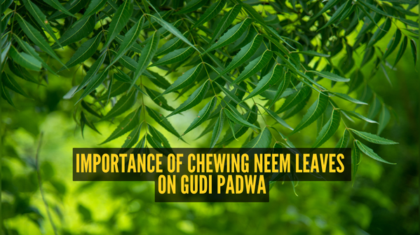 Relation between neem leaves and Gudi Padwa