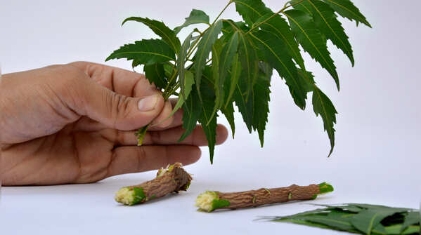 Medicinal perspective