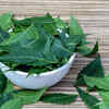 Article image for: <i class="tbold">gudi padwa</i> and Neem Leaves