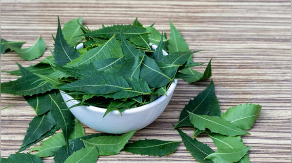 Gudi Padwa and Neem Leaves
