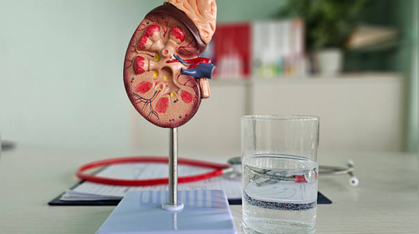 How do other beverages like tea, coffee, or soda affect hydration?