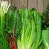 Leafy green vegetables for essential vitamins