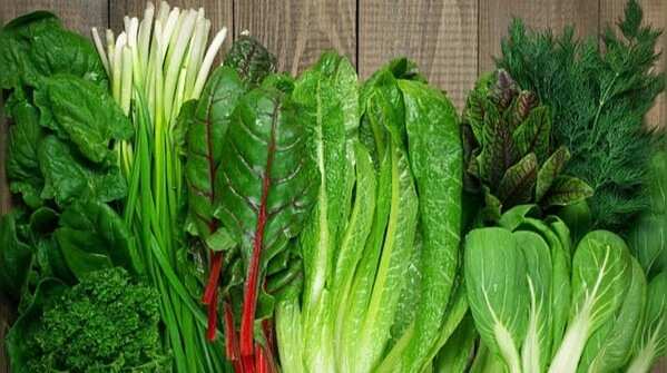 Leafy green vegetables for essential vitamins