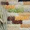 Whole grains for steady energy