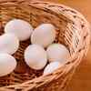 Eggs for memory and brain function