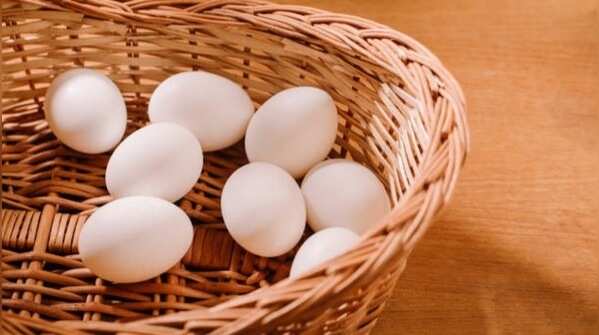 Eggs for memory and brain function