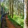 Nilgiri Mountain Railway